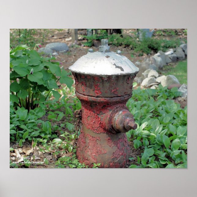 Póster Jardín de flores Rusty Fire Hydrant (Frente)