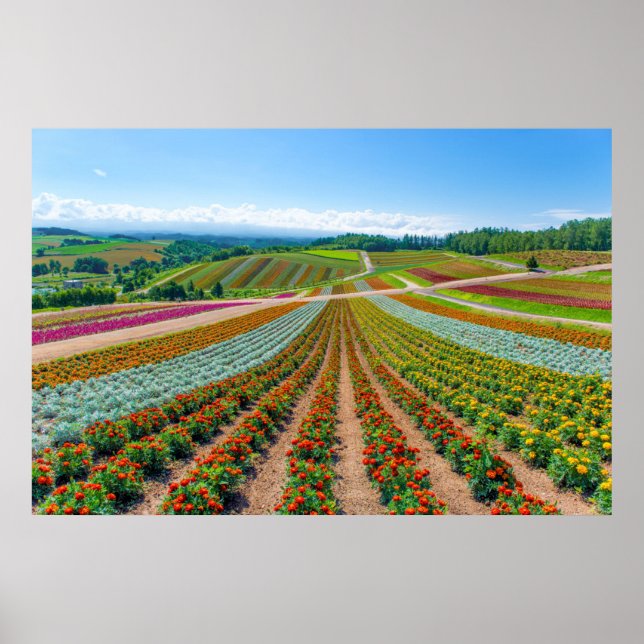 Póster Jardín de flores | Shikisai No Oka Flower Farm (Frente)