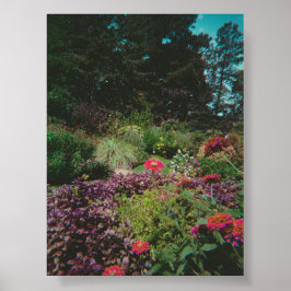 Póster Jardín de flores silvestres de época