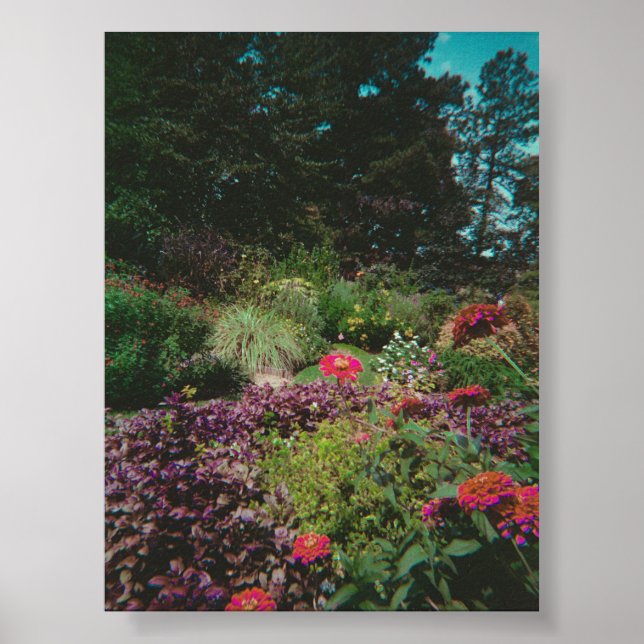 Póster Jardín de flores silvestres de época (Frente)