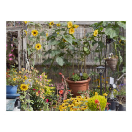 Póster Jardín de flores y barco estrecho