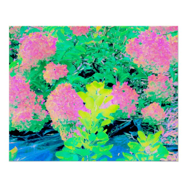 Póster Jardín de hidrangea rosada con oliva amarilla (Anverso)