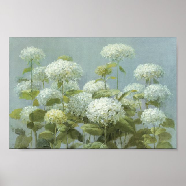Póster Jardín de Hydrangea Blanca (Frente)