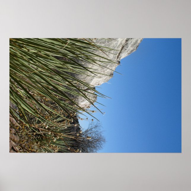 Póster Jardín de los Dioses (Frente)