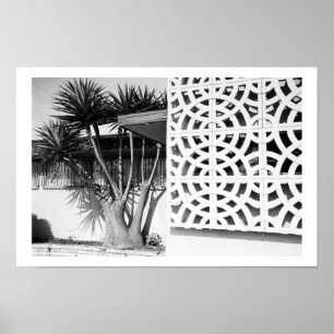 Póster Jardín de los mediados de siglo