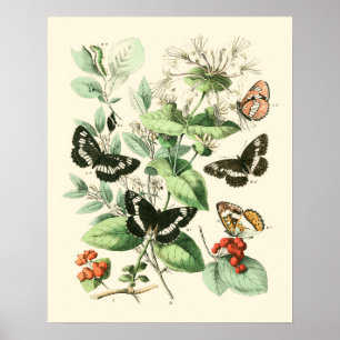 Póster Jardín de mariposas y flores
