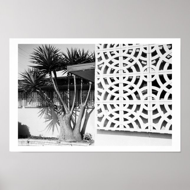 Póster Jardín de mediados del siglo XX (Frente)