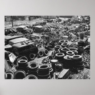 PÓSTER JARDÍN DE RAPAS DE GUERRA DE 1942