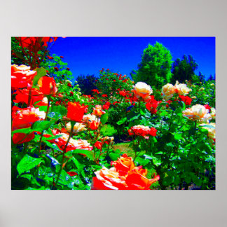 Póster Jardín de Rosa psicodélico