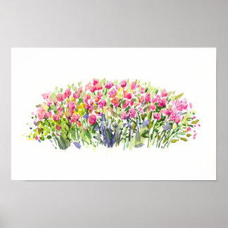 Póster Jardín de Rosa Suave en Acuarela – Acento Floral