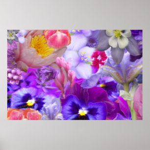 Póster Jardín de Rotary