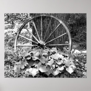 Póster Jardín De Ruedas De Vagón Antiguo Negro Y Blanco