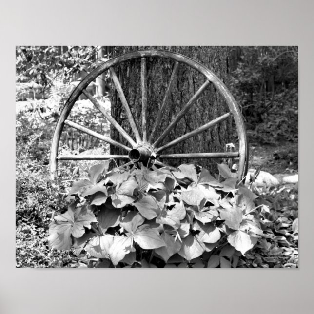Póster Jardín De Ruedas De Vagón Antiguo Negro Y Blanco (Frente)