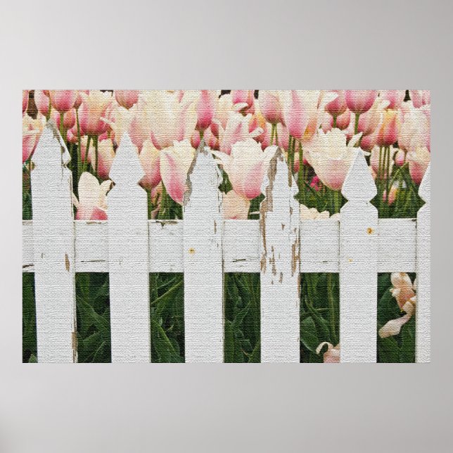 Póster Jardín de tulipanes rosados holandés (Frente)