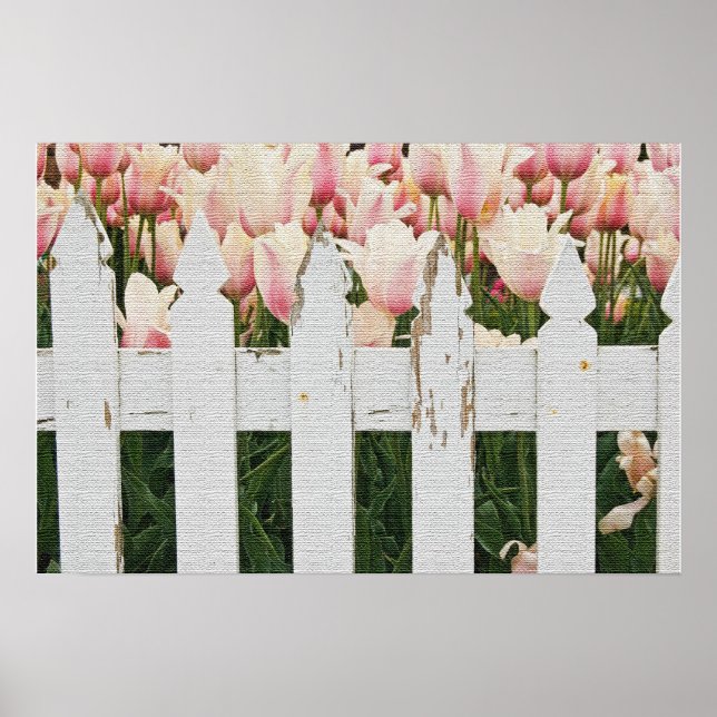 Póster Jardín de Tulipanes Rosas Holandeses (Frente)