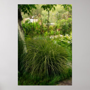 Póster Jardín de verano mágico