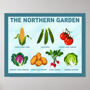 Póster Jardín de verduras del norte
