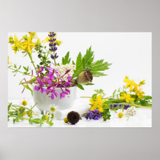 Póster Jardín de yerba