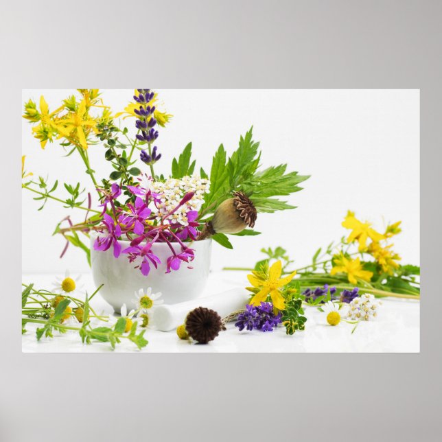 Póster Jardín de yerba (Frente)