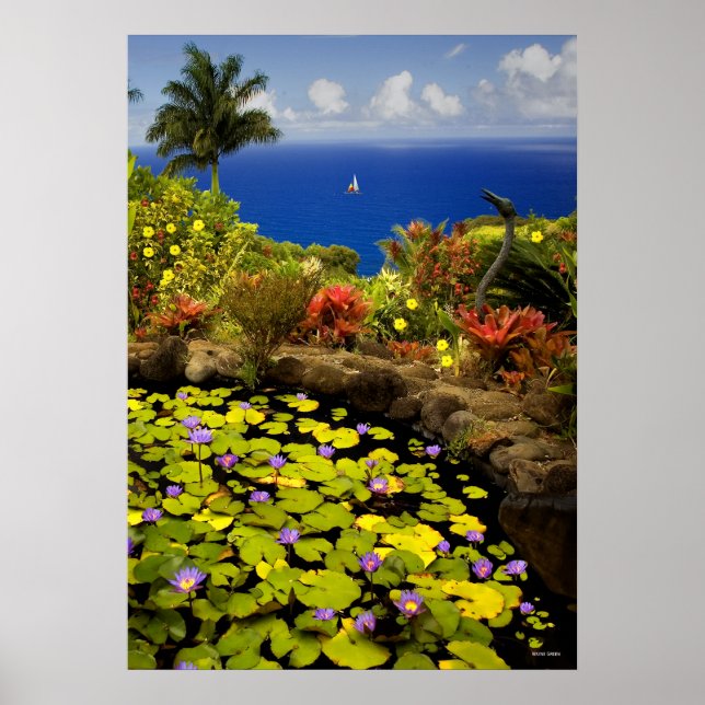 Póster Jardín del Edén - Maui - Hawái (Frente)