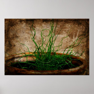 Póster Jardín del Verde