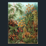 Póster Jardín Haeckel<br><div class="desc">Poster del jardín Haeckel.</div>