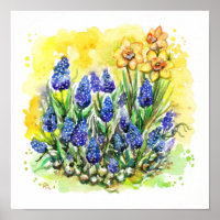 Jardín Hyacinth de Uva