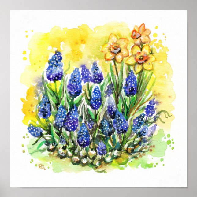 Póster Jardín Hyacinth de Uva (Frente)