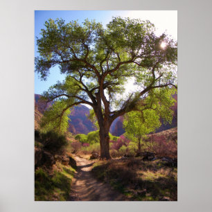 Póster Jardín indio