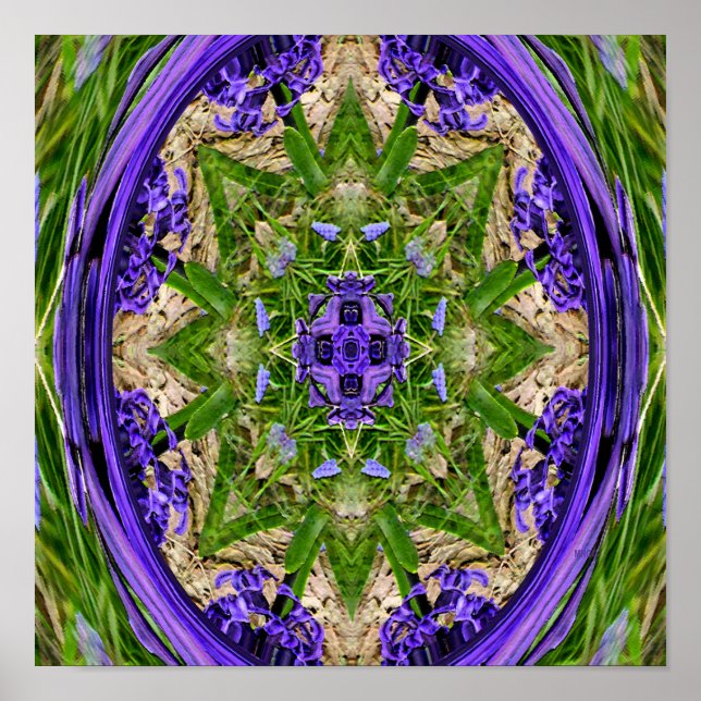 Póster Jardín Narciso..... (Frente)