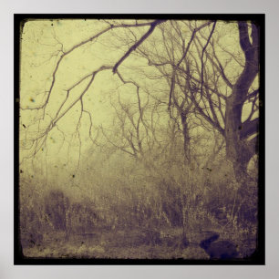 Póster Jardín secreto