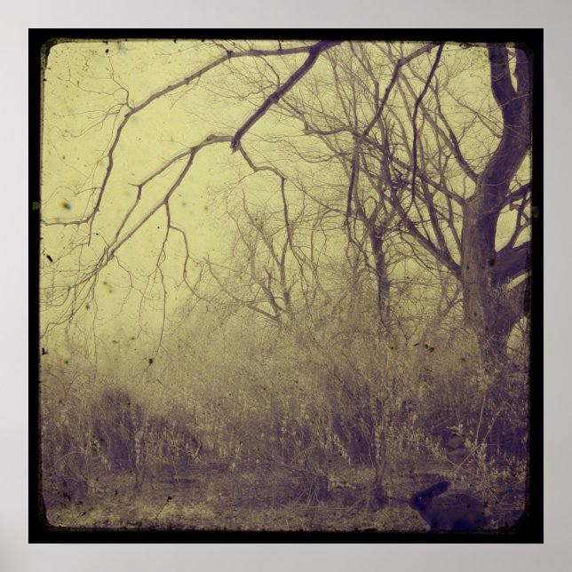 Póster Jardín secreto (Frente)