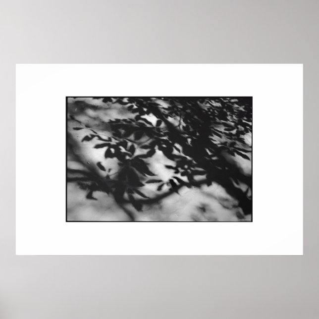 Póster Jardín secreto (Frente)