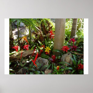 Póster Jardín tropical