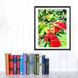 Póster Jardín tropical de flores rojas