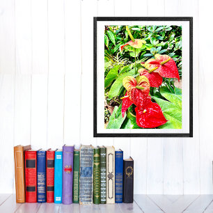 Póster Jardín tropical de flores rojas