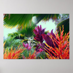 Póster Jardín tropical en paraíso