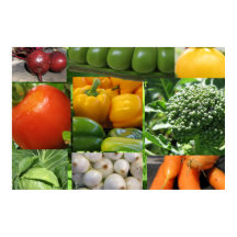 Jardín vegetal trasero