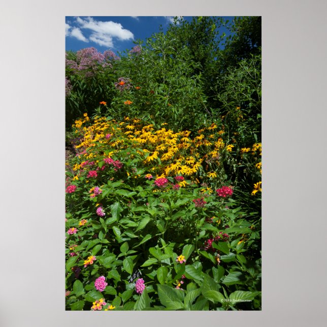 Póster Jardín verde (Frente)