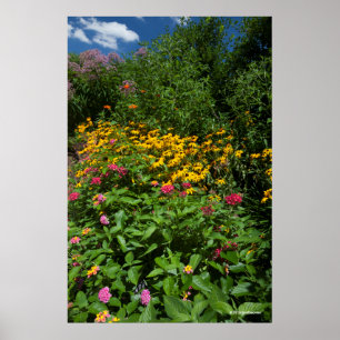 Póster Jardín verde enorme
