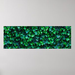 Póster Jardinería cubierta de jungla urbana