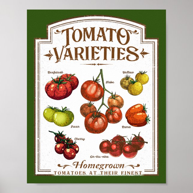 Póster Jardinería de tomates, huerto de tomates (Frente)