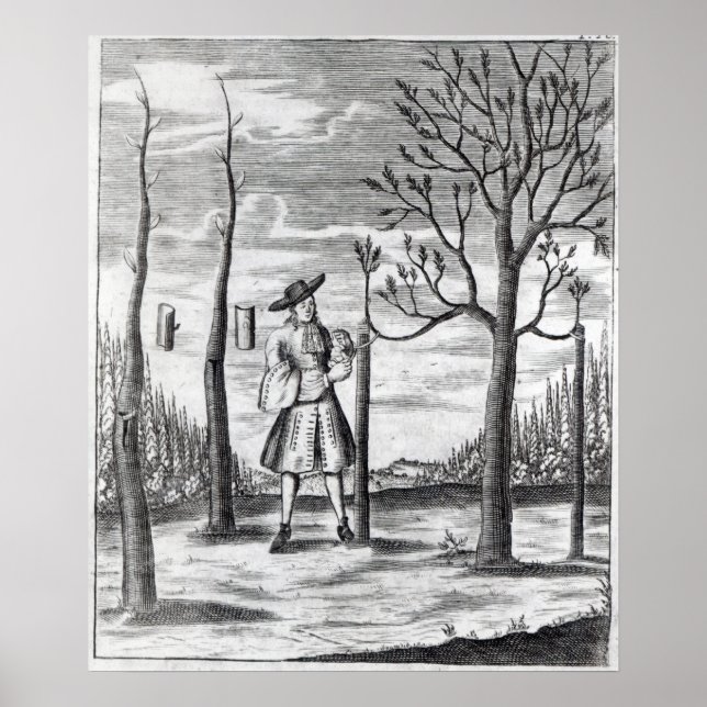 Póster Jardinería y enfermedades vegetales (Frente)