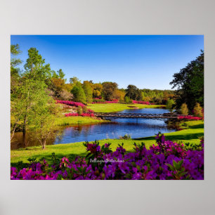 Póster Jardines Bellingrath, Alabama,