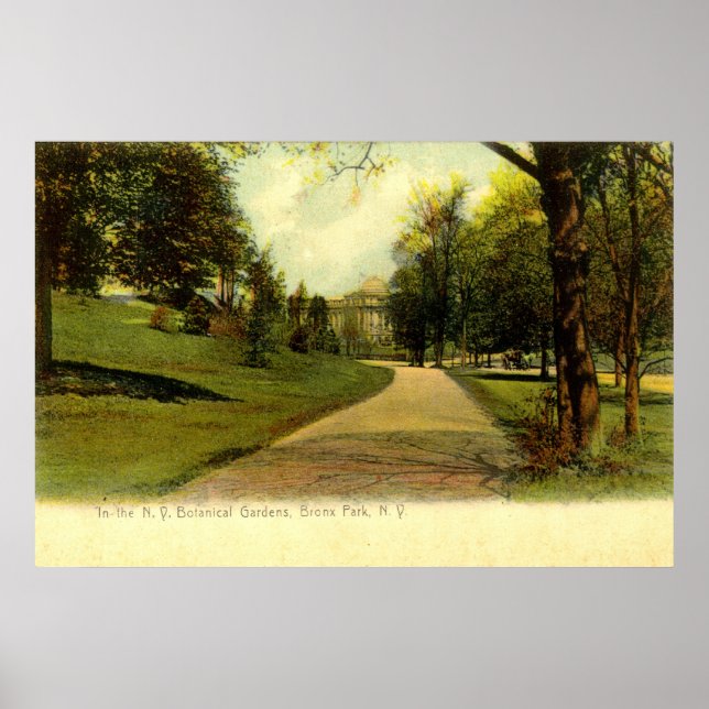 Póster Jardines botánicos, Bronx Nueva York 1905 (Frente)