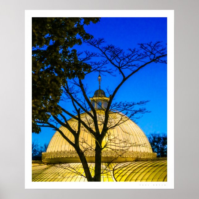 Póster Jardines botánicos, Poster de Glasgow (Frente)