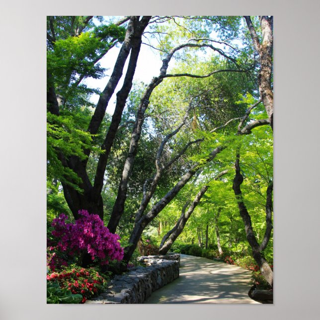 Póster Jardines botánicos, senderos, arboles de arce (Frente)