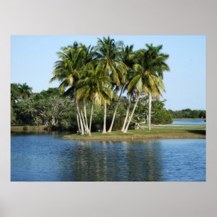 Póster Jardines botánicos tropicales de Fairchild