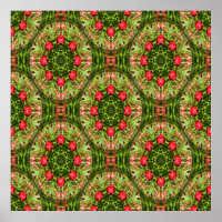 Jardines de Geranium.....