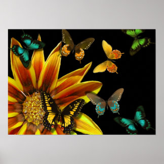 Póster Jardines de mariposa